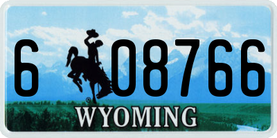 WY license plate 608766