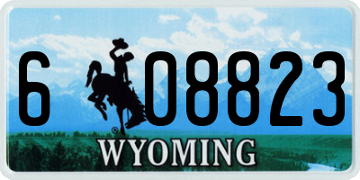 WY license plate 608823