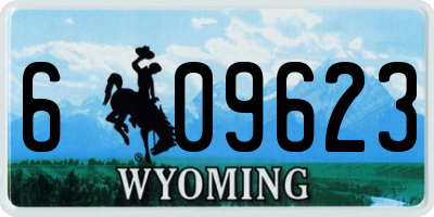 WY license plate 609623
