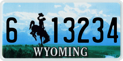 WY license plate 613234