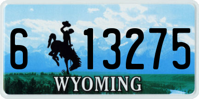WY license plate 613275