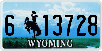 WY license plate 613728