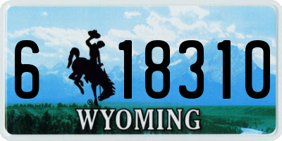 WY license plate 618310