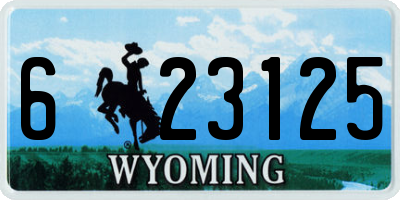 WY license plate 623125