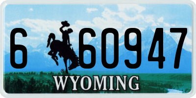 WY license plate 660947