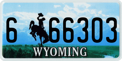 WY license plate 666303