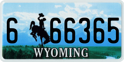 WY license plate 666365