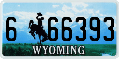 WY license plate 666393