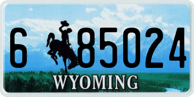 WY license plate 685024
