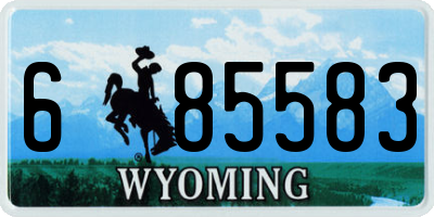 WY license plate 685583