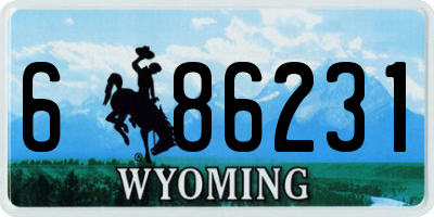 WY license plate 686231