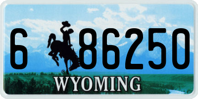 WY license plate 686250