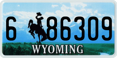WY license plate 686309