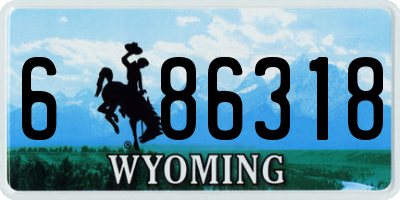WY license plate 686318