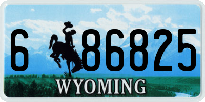 WY license plate 686825