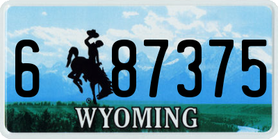 WY license plate 687375