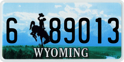 WY license plate 689013