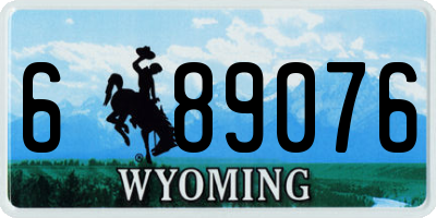 WY license plate 689076