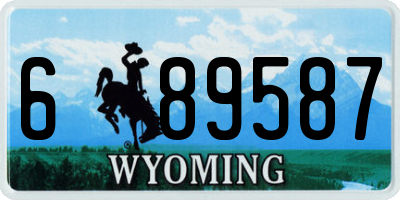 WY license plate 689587
