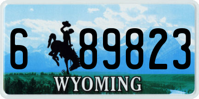 WY license plate 689823