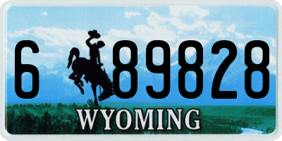 WY license plate 689828
