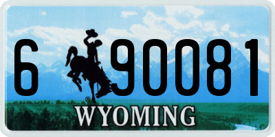 WY license plate 690081