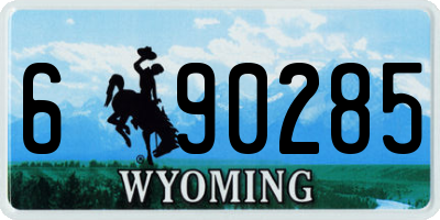 WY license plate 690285