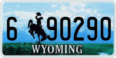WY license plate 690290