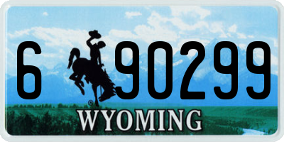 WY license plate 690299