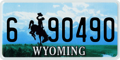 WY license plate 690490