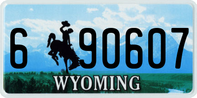 WY license plate 690607