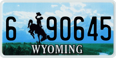 WY license plate 690645