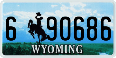 WY license plate 690686
