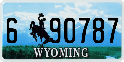 WY license plate 690787