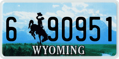 WY license plate 690951