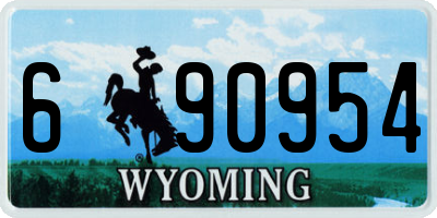 WY license plate 690954