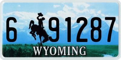 WY license plate 691287