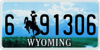 WY license plate 691306