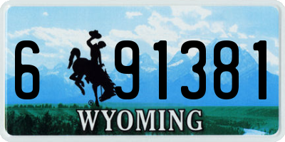 WY license plate 691381
