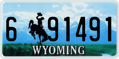 WY license plate 691491