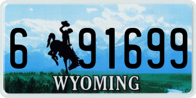 WY license plate 691699