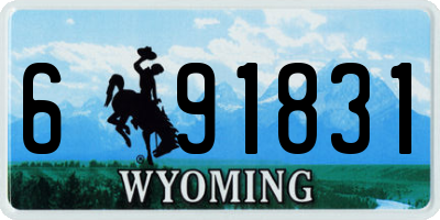 WY license plate 691831