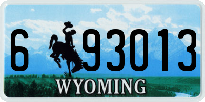 WY license plate 693013