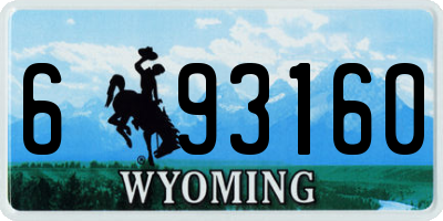 WY license plate 693160