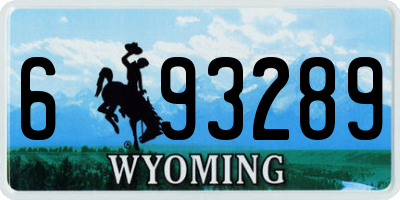 WY license plate 693289