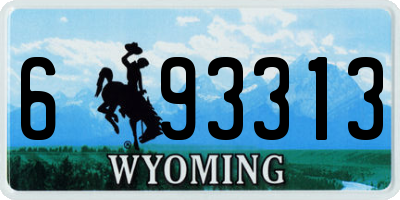 WY license plate 693313