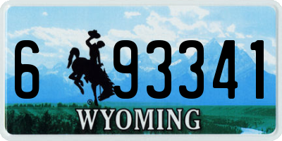 WY license plate 693341