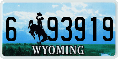 WY license plate 693919