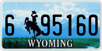 WY license plate 695160