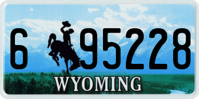 WY license plate 695228